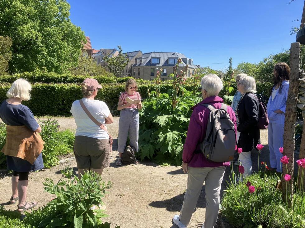 Litteraturvandring – LiteratureXchange