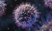 Immunsystemet – dit indre forsvar