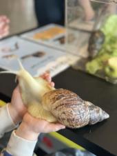 Tæt på krible krable dyrene 