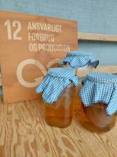 Kombucha crash course i Verdensrummet