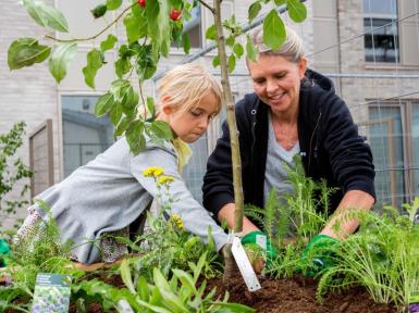 Plant nu for et smukkere forår!